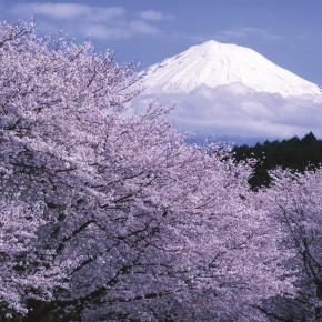 Zauberhaftes Japan