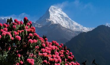 Große Annapurna-Runde