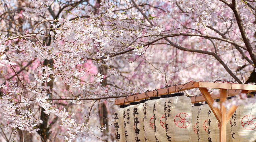 Japan: Höhepunkte